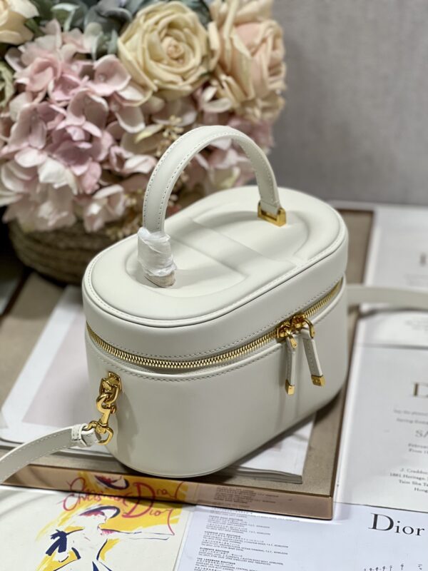 DIOR SMALL CD SIGNATURE VANITY CASE