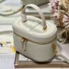 DIOR SMALL CD SIGNATURE VANITY CASE