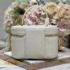 DIOR SMALL CD SIGNATURE VANITY CASE