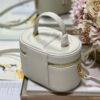 DIOR SMALL CD SIGNATURE VANITY CASE