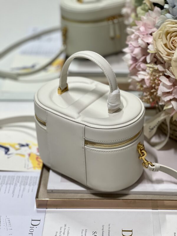 DIOR SMALL CD SIGNATURE VANITY CASE