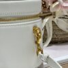 DIOR SMALL CD SIGNATURE VANITY CASE