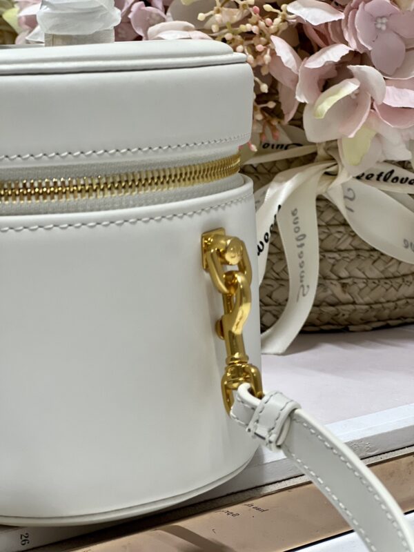 DIOR SMALL CD SIGNATURE VANITY CASE