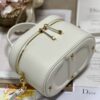 DIOR SMALL CD SIGNATURE VANITY CASE