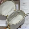 DIOR SMALL CD SIGNATURE VANITY CASE