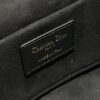 DIOR SMALL CD SIGNATURE VANITY CASE