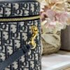 DIOR MEDIUM CD SIGNATURE VANITY CASE