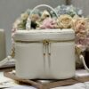 DIOR MEDIUM CD SIGNATURE VANITY CASE