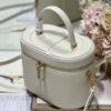 DIOR MEDIUM CD SIGNATURE VANITY CASE