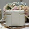 DIOR MEDIUM CD SIGNATURE VANITY CASE