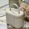 DIOR MEDIUM CD SIGNATURE VANITY CASE