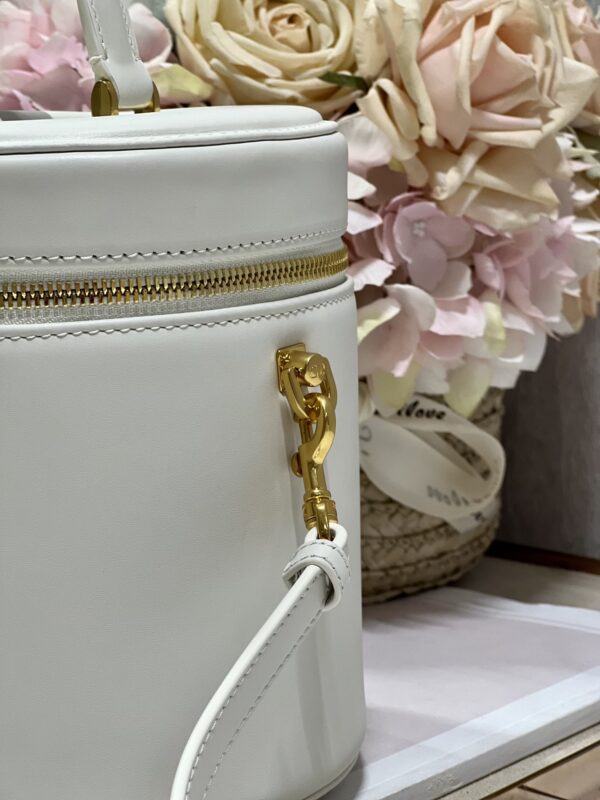 DIOR MEDIUM CD SIGNATURE VANITY CASE