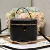 DIOR MEDIUM CD SIGNATURE VANITY CASE