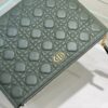 LARGE DIOR CARO DAILY POUCH