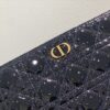 LARGE DIOR CARO DAILY POUCH