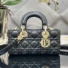 SMALL LADY D-JOY BAG