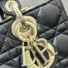 SMALL LADY D-JOY BAG