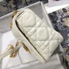 SMALL DIOR CARO BAG
