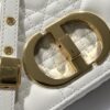 SMALL DIOR CARO BAG