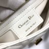 SMALL DIOR CARO BAG