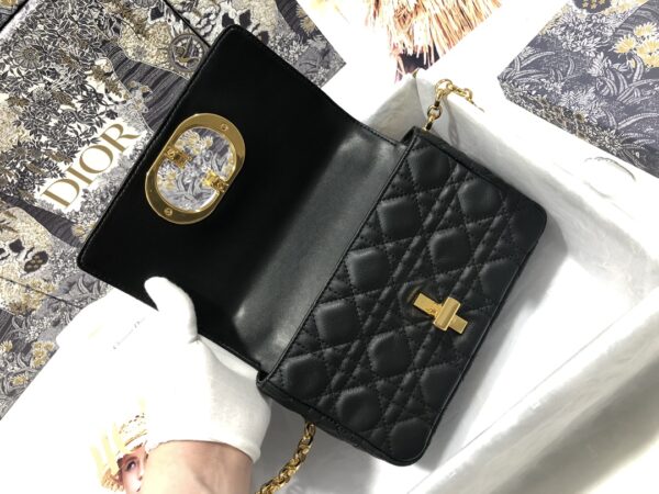 SMALL DIOR CARO BAG