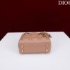 LADY DIOR MICRO BAG