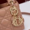 LADY DIOR MICRO BAG