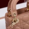 LADY DIOR MICRO BAG