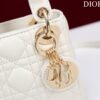 LADY DIOR MICRO BAG