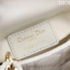LADY DIOR MICRO BAG