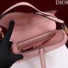 DIOR SADDLE BAG WITH STRAP