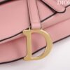 DIOR SADDLE BAG WITH STRAP