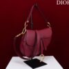 DIOR SADDLE BAG WITH STRAP
