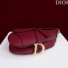 DIOR SADDLE BAG WITH STRAP