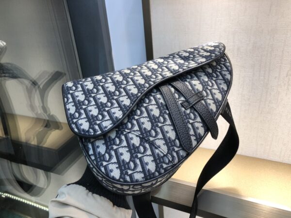 DIOR Saddle Bag