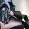 DIOR Saddle Bag