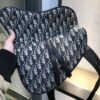 DIOR Saddle Bag