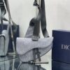 DIOR Saddle Bag