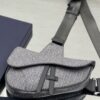 DIOR Saddle Bag