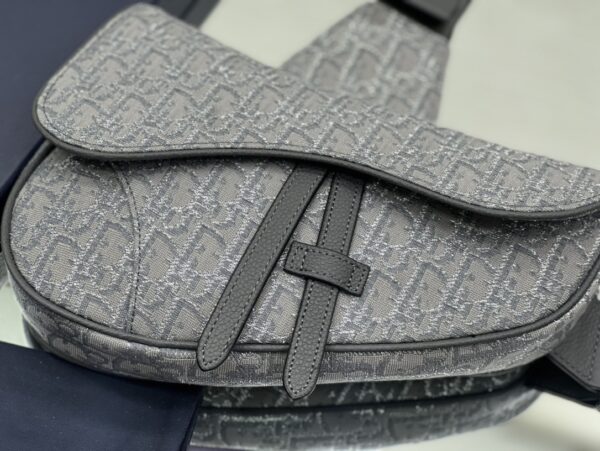 DIOR Saddle Bag