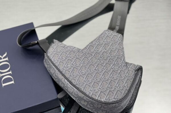 DIOR Saddle Bag