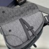 DIOR Saddle Bag