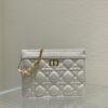 DIOR CARO ZIPPED POUCH WITH CHAIN