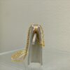 DIOR CARO ZIPPED POUCH WITH CHAIN