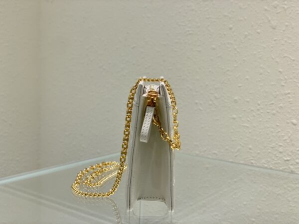 DIOR CARO ZIPPED POUCH WITH CHAIN