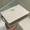 DIOR CARO ZIPPED POUCH WITH CHAIN