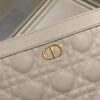 DIOR CARO ZIPPED POUCH WITH CHAIN