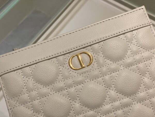 DIOR CARO ZIPPED POUCH WITH CHAIN