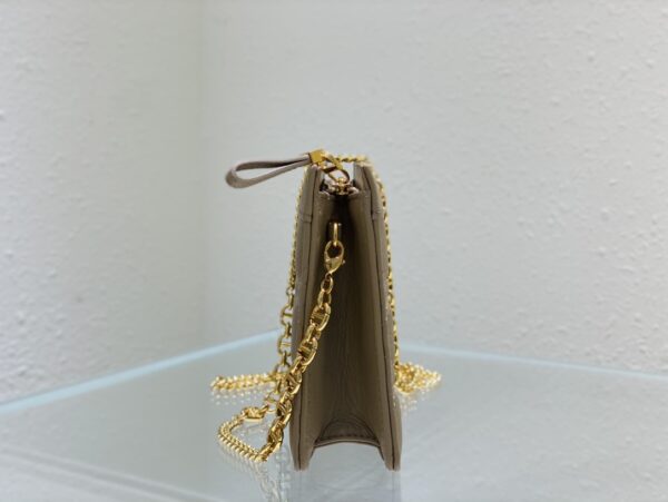 DIOR CARO ZIPPED POUCH WITH CHAIN