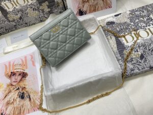DIOR CARO ZIPPED POUCH WITH CHAIN